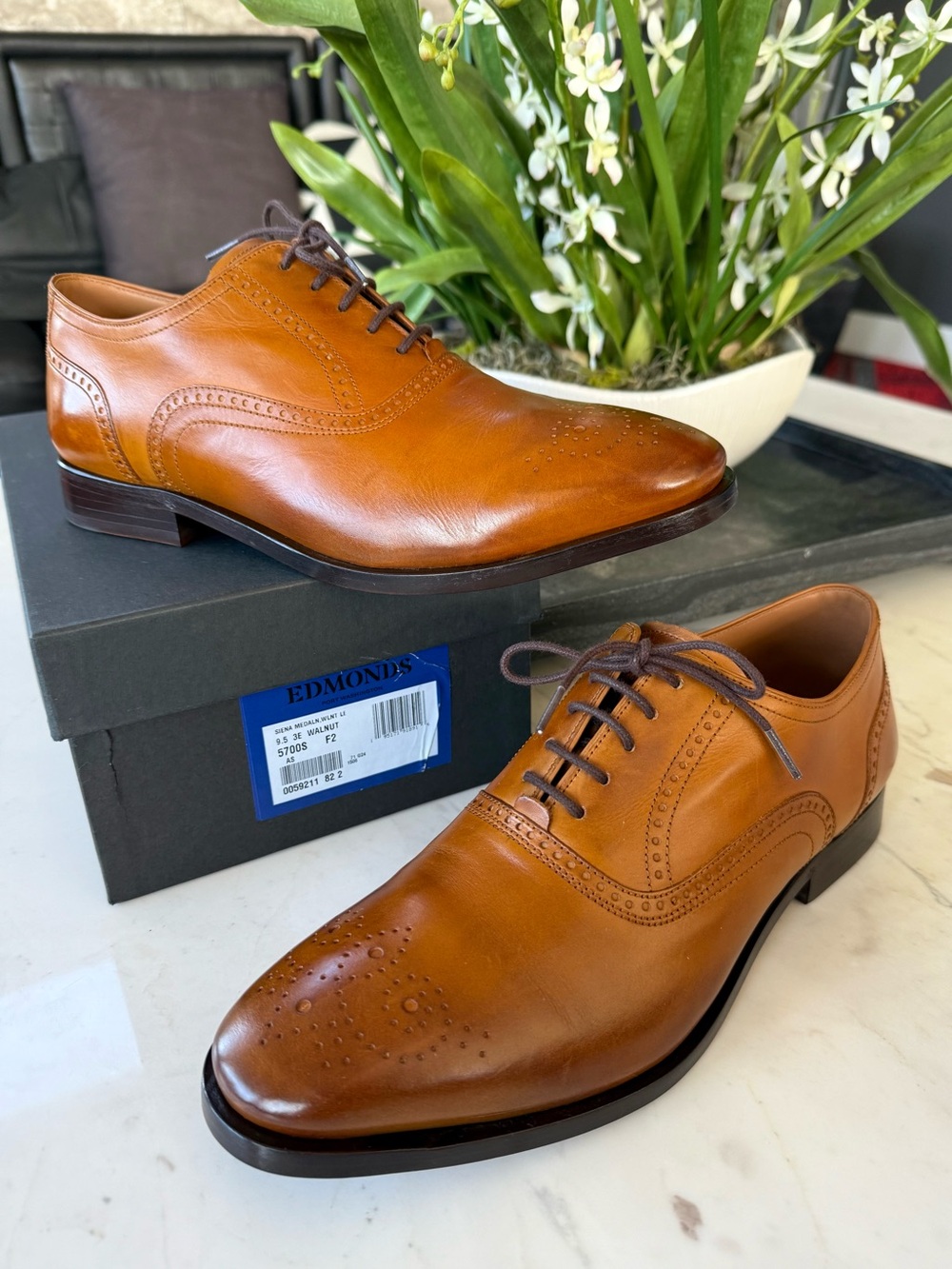New Allen Edmonds Siena Medallion Oxford Dress Shoe Walnut Leather - Picture 15 of 15